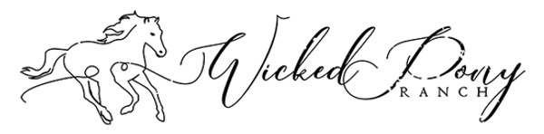 wicked pony ranch horizontal black logo