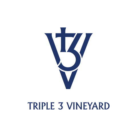 t3v logo pastel color 1 23