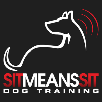 sms logo